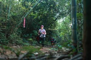 BIB: 
                            <button type="button" onclick="openModal(28024538)" class="btn btn-primary btn-sm float-right btn-popup" data-toggle="modal" data-target=".modal-high-quality">
                        <i class="fas fa-shopping-cart"></i> Add to Cart
                    </button>
                                            <button type="button" onclick="isThisMe(28024538, true)" class="btn btn-success btn-sm float-right btn-popup btn-isme hidden" data-toggle="tooltip" data-placement="bottom" title="นี่คือรูปของคุณใช่ไหม คลิกที่นี่เพื่อเอาเข้าอัลบั้ม">
                        <i class="fas fa-plus"></i> Add to album
                    </button>
                    <button type="button" onclick="isThisMe(28024538, false)" class="btn btn-warning btn-sm float-right btn-popup btn-isnotme hidden">
                        <i class="fas fa-ban"></i> Remove from album
                    </button>